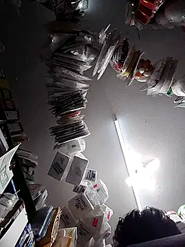 icpetlsjrukgwaykjrw 25 online show from October 2025 11:28:02 PM