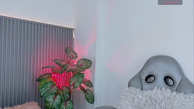 Celeste Presstigge online show from February 2026 11:38:01 PM