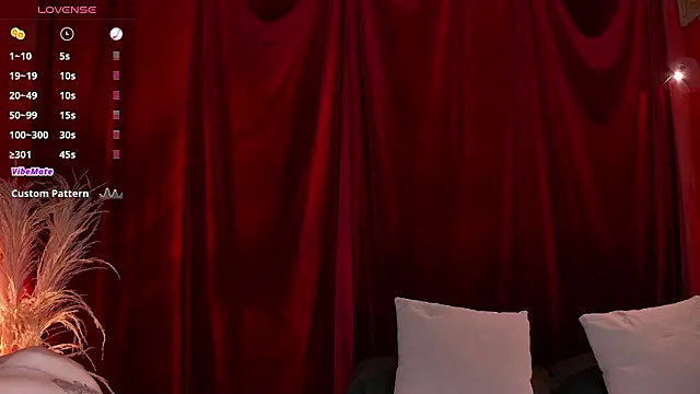 VicenteFerrer online show from February 2026 07:34:02 PM