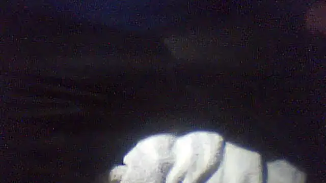 pietje1991 online show from February 2026 01:10:02 AM