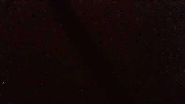 pietje1991 online show from March 2026 06:47:02 PM