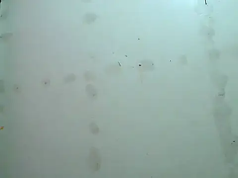 fresh rosie online show from October 2025 07:22:02 PM