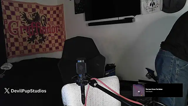 DevilPup75  online show from November 2025 03:29:01 AM