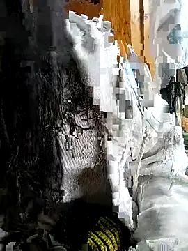 Tiyir597 online show from November 2025 03:09:01 AM