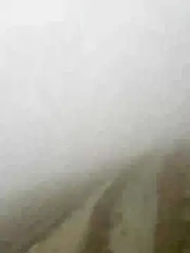 Phayphay77 online show from January 2026 08:08:01 AM