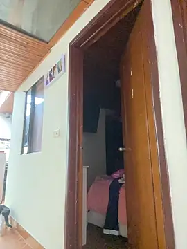 juliana-mancini online show from January 2026 06:21:02 PM