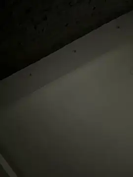 ALANNFERRER online show from October 2025 09:40:01 AM