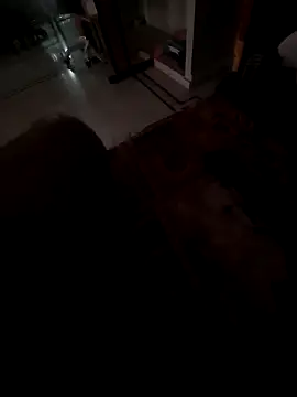 Yourslovingdick online show from December 2025 07:37:01 AM