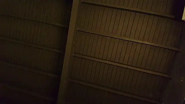 lilyth bloom online show from December 2025 12:42:02 PM