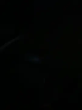 Pipegod007 online show from December 2025 07:58:02 AM