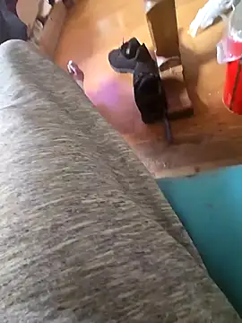 Fonse1860 online show from October 2025 08:59:01 AM