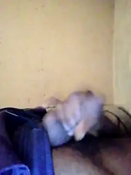 Dadgodd online show from January 2026 04:59:02 AM