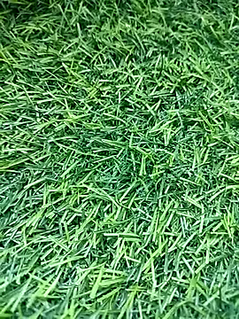 BlackhorseBBC online show from March 2026 09:48:02 AM