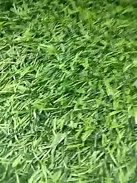 BlackhorseBBC online show from April 2026 08:52:02 AM