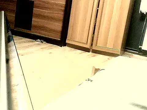 Snapshot of KissMeAss9387 chatting on September 2025 07:08:01 PM KissMeAss9387 online show from September 2025 07:08:01 PM