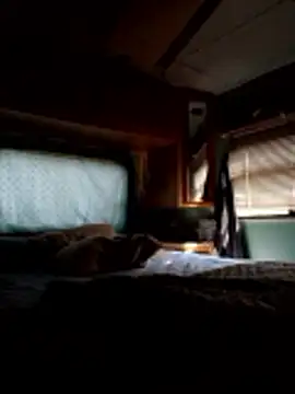 ShawnandDani7074 online show from December 2025 03:41:01 PM