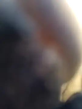 ShawnandDani7074 online show from February 2026 05:52:01 PM