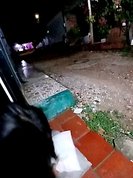 jeltsin3-25 online show from February 2026 01:58:01 AM