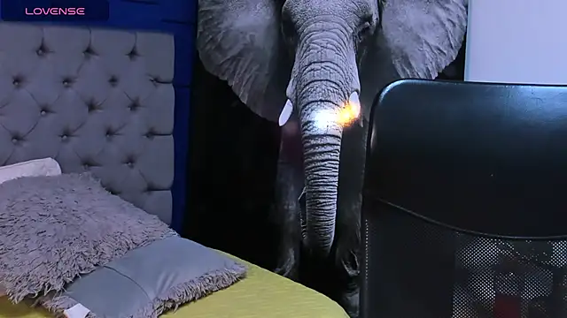 rocoo santos online show from October 2025 12:09:01 AM