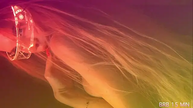 Alvuwkaa online show from April 2026 01:00:02 PM