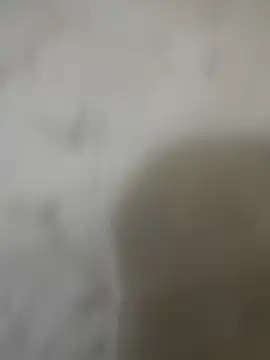 zackria online show from December 2025 12:30:01 AM