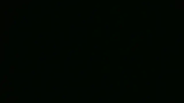 ch0wn m online show from September 2025 01:13:01 PM