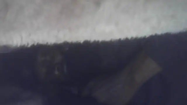 cuminsidebby online show from July 2026 03:15:01 AM