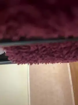 bb empress online show from September 2025 07:12:01 AM