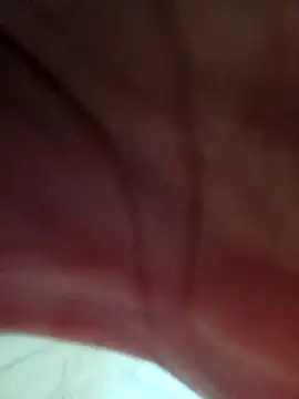 tdtd98 online show from March 2026 04:01:01 PM