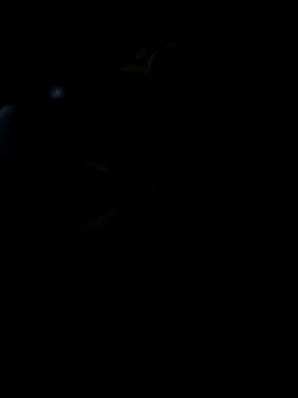 Snapshot of Reeelo chatting on November 2025 05:57:01 PM Reeelo online show from November 2025 05:57:01 PM