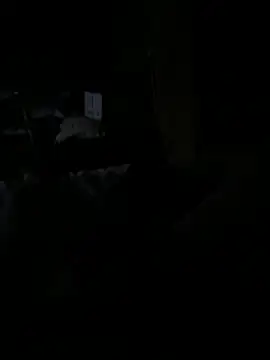 Snapshot of Reeelo chatting on December 2025 04:06:02 AM Reeelo online show from December 2025 04:06:02 AM