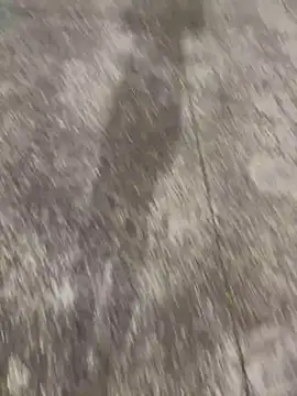 Snapshot of Foxfoxfox4 chatting on November 2025 01:03:01 PM Foxfoxfox4 online show from November 2025 01:03:01 PM