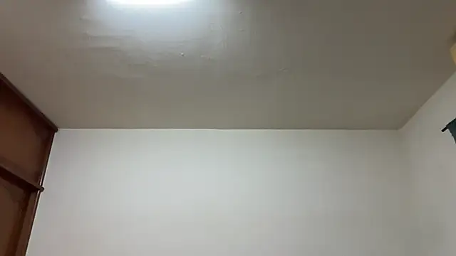 Snapshot of Foxfoxfox4 chatting on February 2026 03:29:02 PM Foxfoxfox4 online show from February 2026 03:29:02 PM