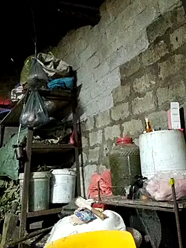 Sunyinn online show from February 2026 02:53:01 AM