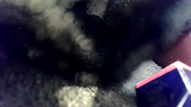 Snapshot of Evieskyy@xh chatting on November 2025 10:49:02 AM Evieskyyxh online show from November 2025 10:49:02 AM