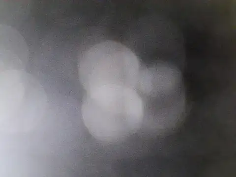 Snapshot of Asian_PrettyAle chatting on February 2026 01:39:02 AM Asian PrettyAle online show from February 2026 01:39:02 AM