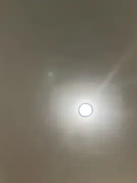 michael877675 online show from March 2026 03:56:01 AM