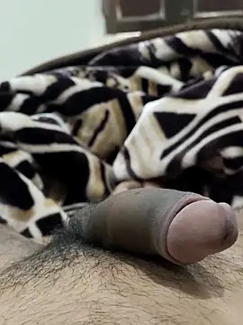 Snapshot of Bull54321 chatting on February 2026 06:54:01 AM Bull54321 online show from February 2026 06:54:01 AM