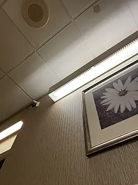 Tu GataLinda online show from November 2025 12:56:01 AM