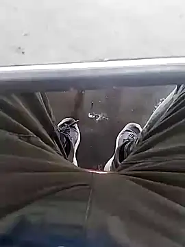 Aliyeni1 online show from December 2025 09:25:01 AM