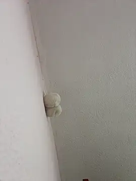 saranghae  online show from March 2026 03:09:01 AM