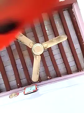 Snapshot of Love-pari077 chatting on February 2026 02:33:01 PM Love-pari077 online show from February 2026 02:33:01 PM