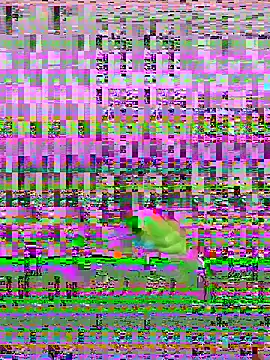 Snapshot of bihf_dam chatting on April 2026 08:48:01 PM bihf dam online show from April 2026 08:48:01 PM
