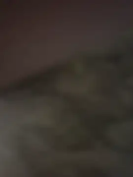 gigoloboymumbai00 online show from October 2025 08:07:01 PM