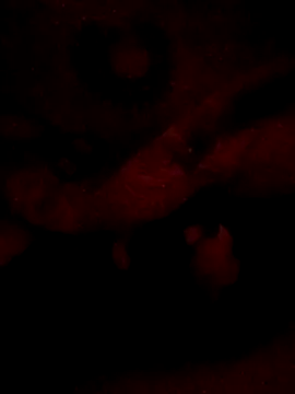 sarahkat86 online show from February 2026 06:26:01 AM