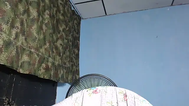 maggi hotsson online show from November 2025 11:54:01 PM