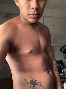 Novindot23cm online show from December 2025 07:32:01 PM