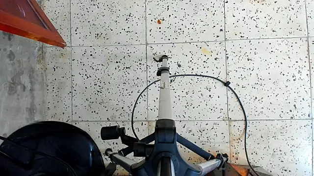 David niet online show from October 2025 05:47:02 PM