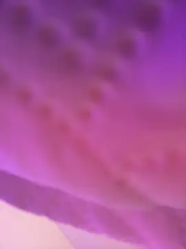 AmberMoss1 online show from November 2025 08:11:01 PM