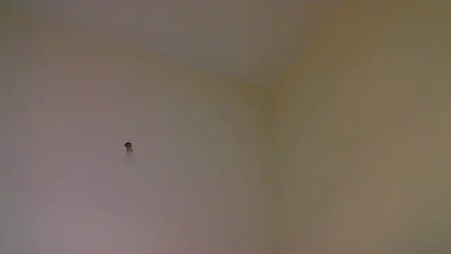 Snapshot of str8matesirishoz chatting on October 2025 04:01:01 AM str8matesirishoz online show from October 2025 04:01:01 AM